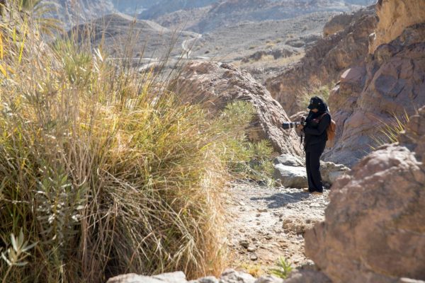 الجولة الجولة